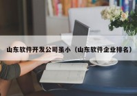 山東軟件開發(fā)公司雖小（山東軟件企業(yè)排名）